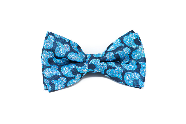 Ecliff Elie Sheen Finish Paisley Shades of Blue Bow Tie