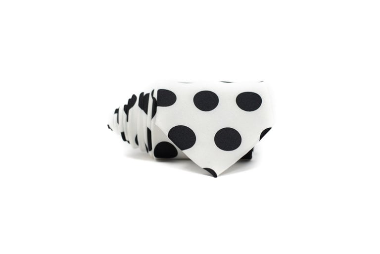 Ecliff Elie Sheen Finish White and Black Polka Dot Tie