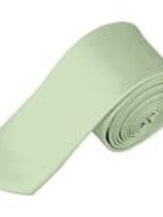 Ecliff Elie Sheen Finish Solid Sage Green Tie