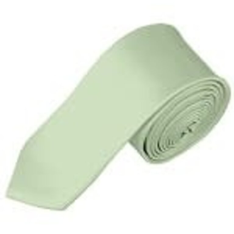Ecliff Elie Sheen Finish Solid Sage Green Tie