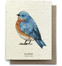 Plantable Seed Paper Greeting Cards