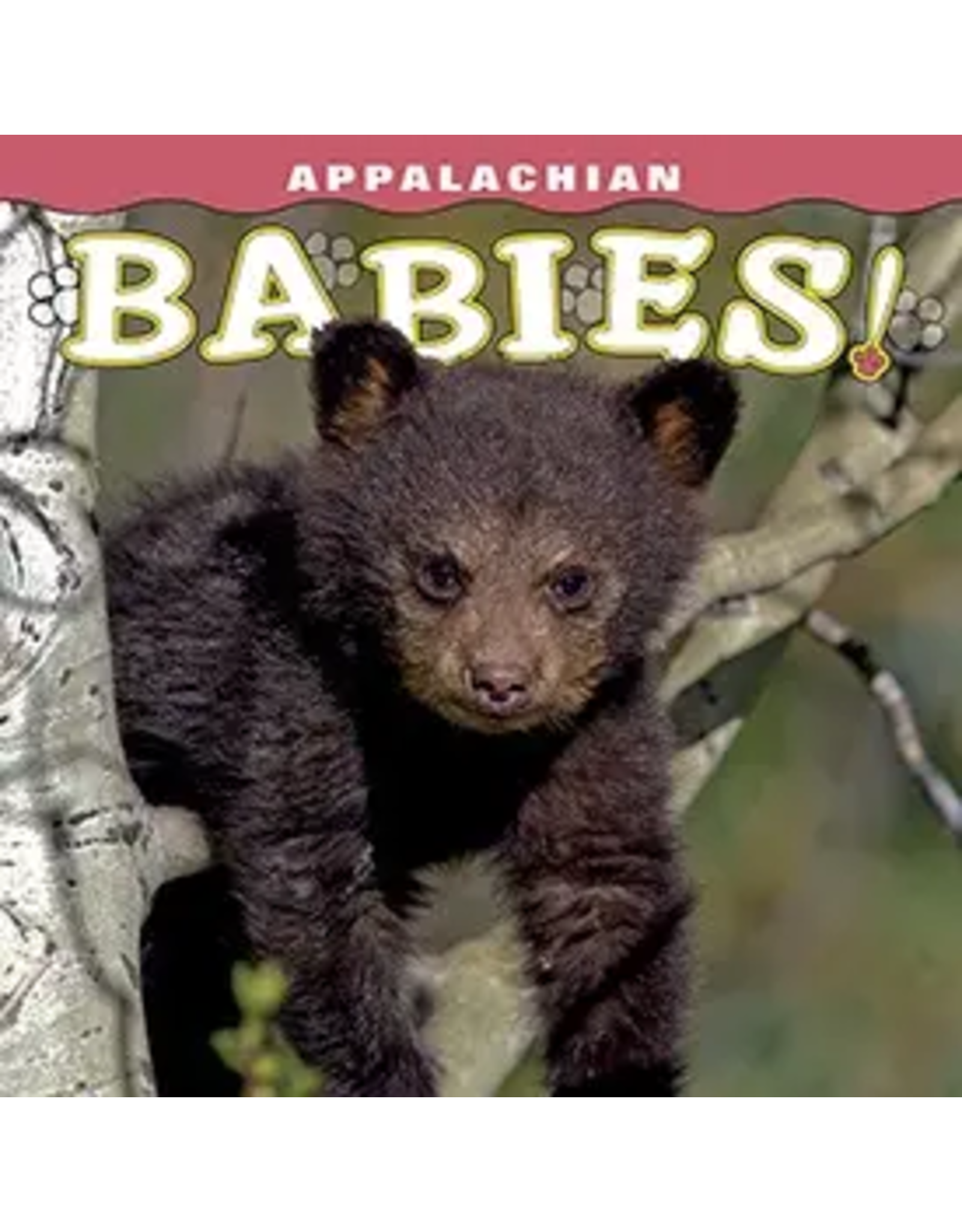 Appalachian Babies Book