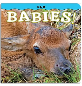 Elk Babies Book