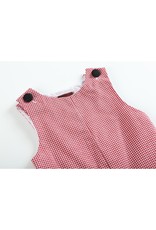 Red Gingham Cow Shortails