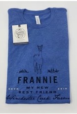 WCF Branded Apparel Frannie Blue Tri Blend T-Shirt- Youth