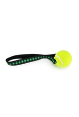 Dog & Me Buffalo Plaid Tennis Ball Toss Toy