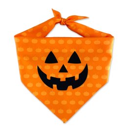 Dog & Me Pumpkin Halloween Pet Bandana - Small