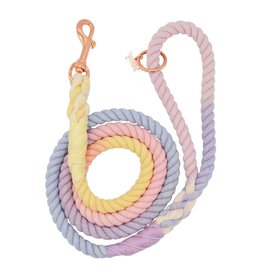 Sassy Woof Purple Dog Rope Leash