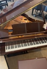 Hallet Davis & Co. Hallet, Davis and Co HS160 5’3” Elite Grand Piano (High Polish Dark Walnut)