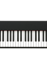 Korg Korg D1 Portable Stage Piano (w/Stand+Bench)(Black)