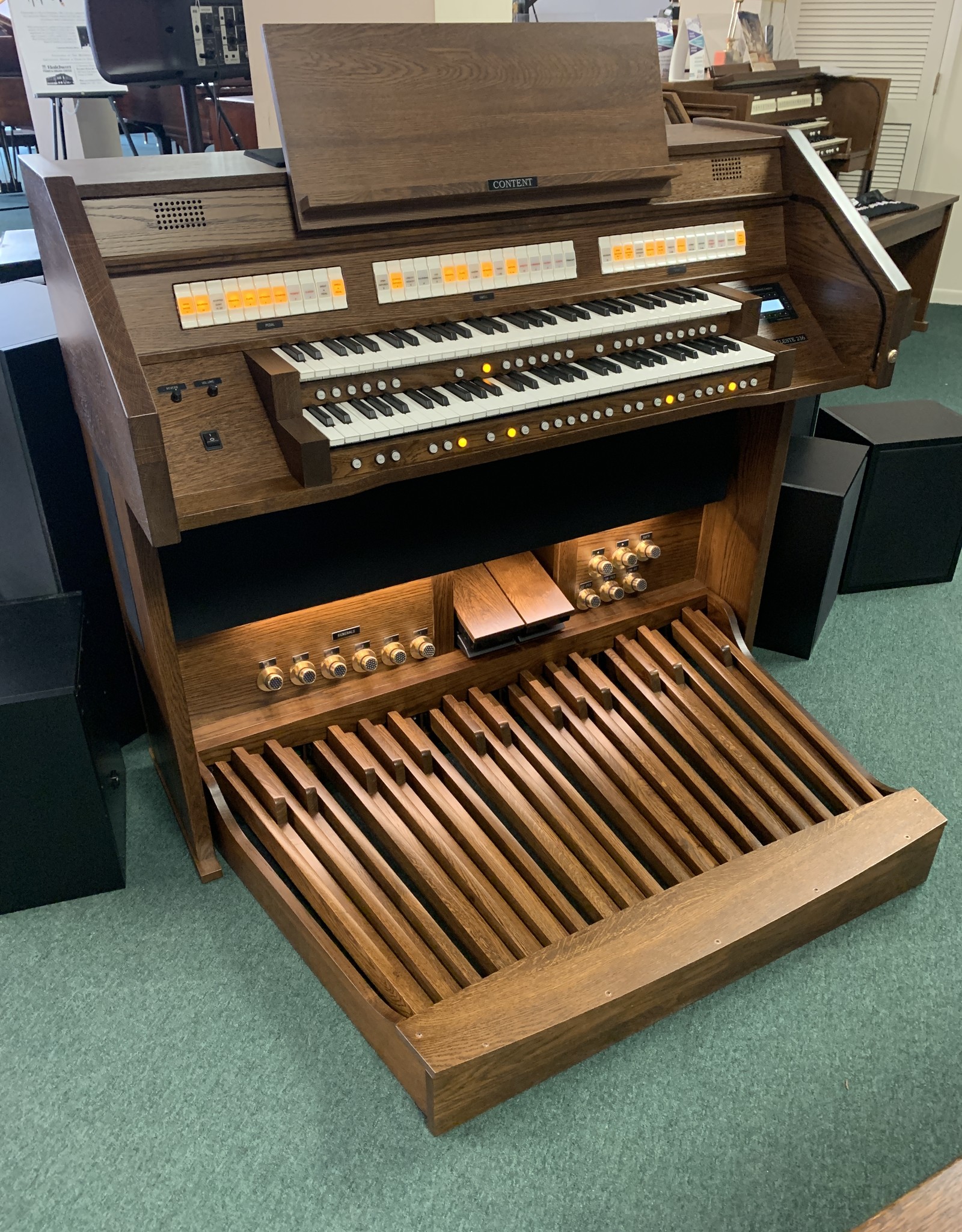 Content Content Celeste 236R Digital Organ w/tone Equipment