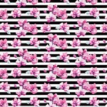 TVD Orchids with Stripes