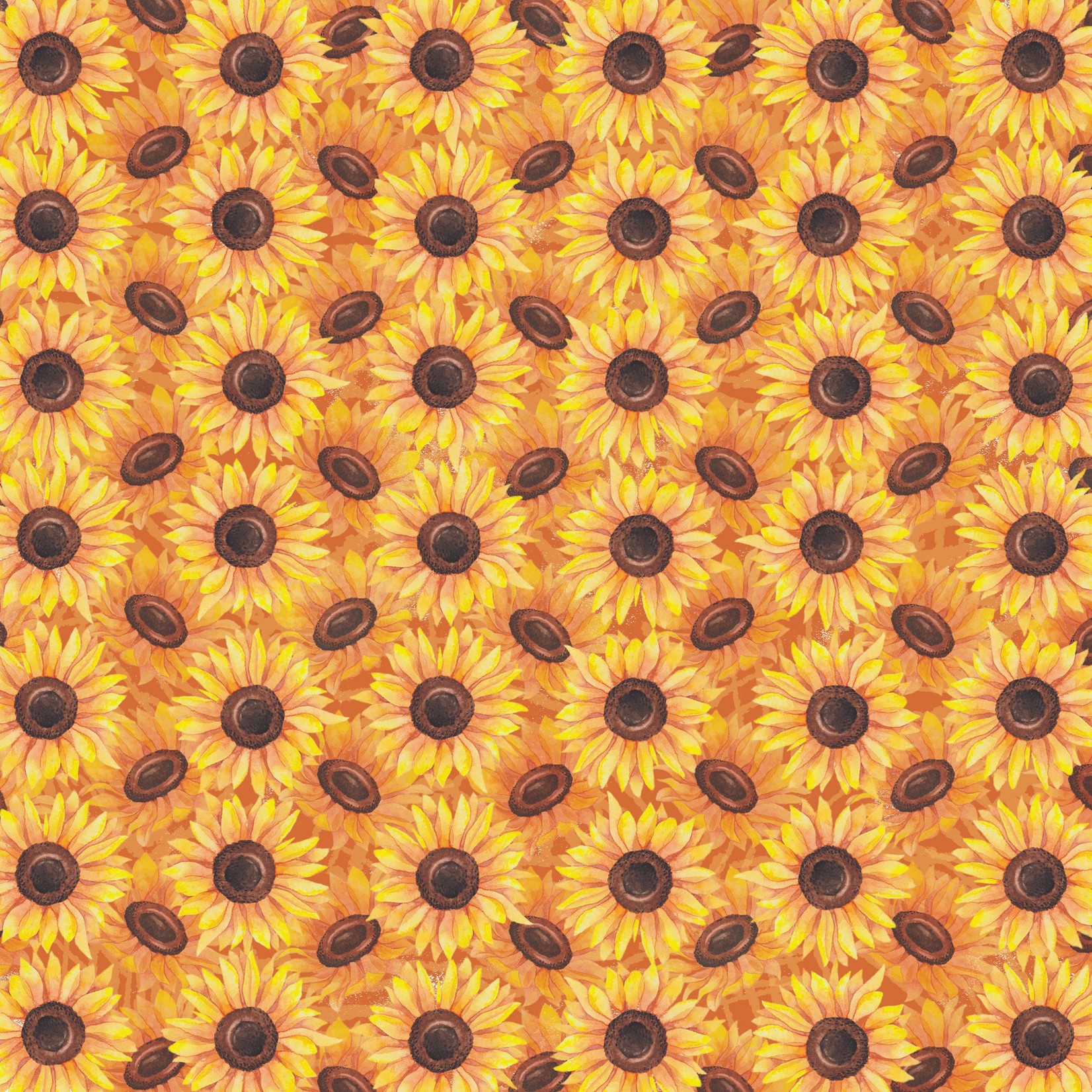 TVD Sunflowers