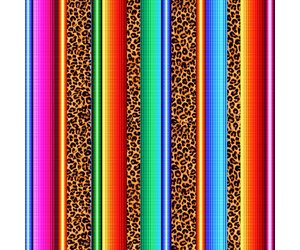 Serape & Leopard Dress Serape & Leopard Dress