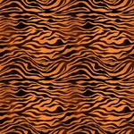 TVD Tiger Stripes