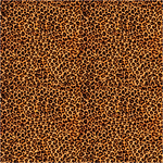 TVD Realistic Leopard