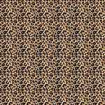 TVD Modern Leopard