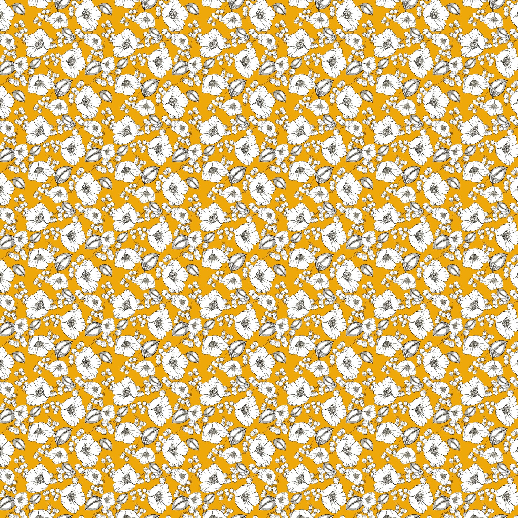 TVD Sketched Poppies