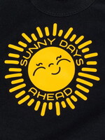 Siser Siser Easyweed - 20in