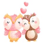 Owls in Love Transfer
