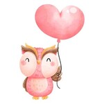 TVD Pink Owl with Heart Balloon Transfer