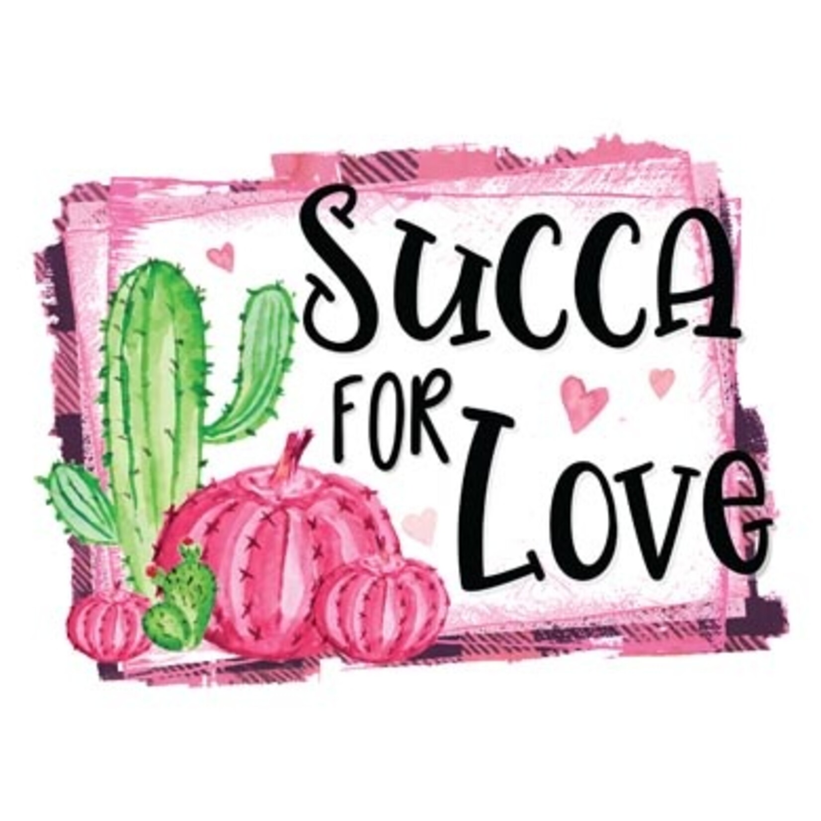 TVD Succa For Love Transfer