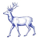 Blue Reindeer Transfer