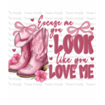 Excuse me you look like you love me Transfer