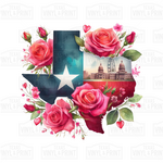 Spring Texas Transfer