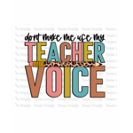 TVD Don't Make Me Use My Teacher Voice Transfer