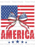 America W/ Flag and Bow Transfer