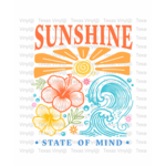 TVD Sunshine State of Mind Transfer