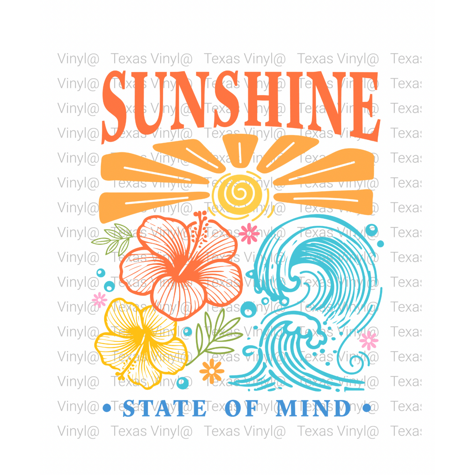 TVD Sunshine State of Mind Transfer