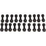 RaceFace RaceFace Chester Pedal Pin Kit, 20 Pins Black