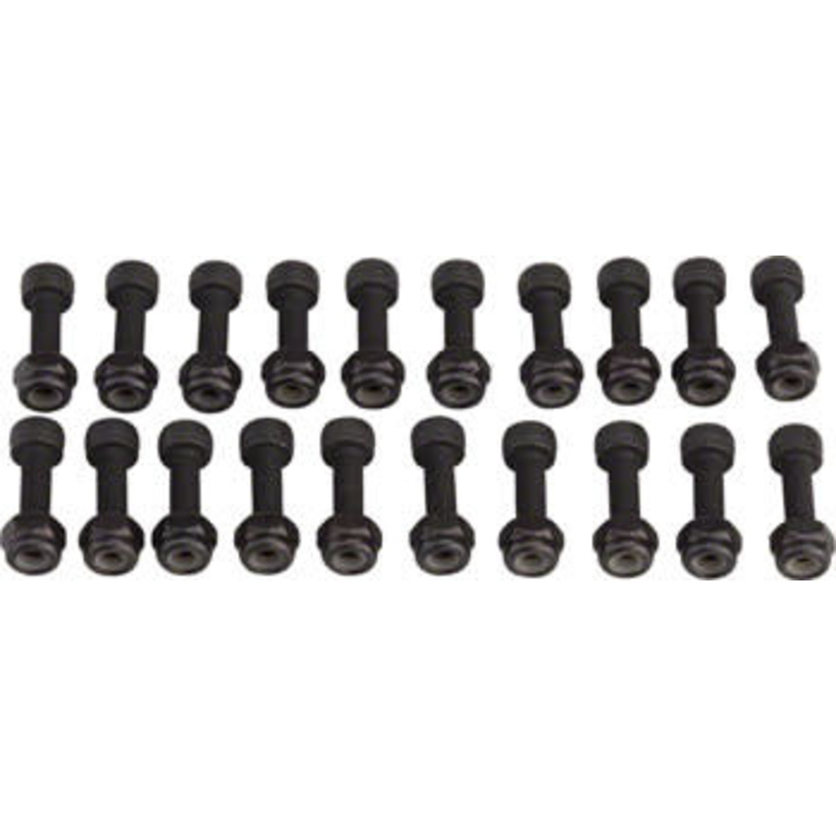 RaceFace RaceFace Chester Pedal Pin Kit, 20 Pins Black