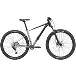 Cannondale Cannondale Trail SE 4 GRY XL