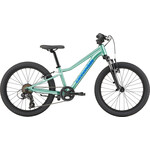 Cannondale Cannondale Trail 20 CTG OS