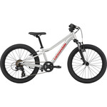 Cannondale Cannondale Trail 20 SLV OS