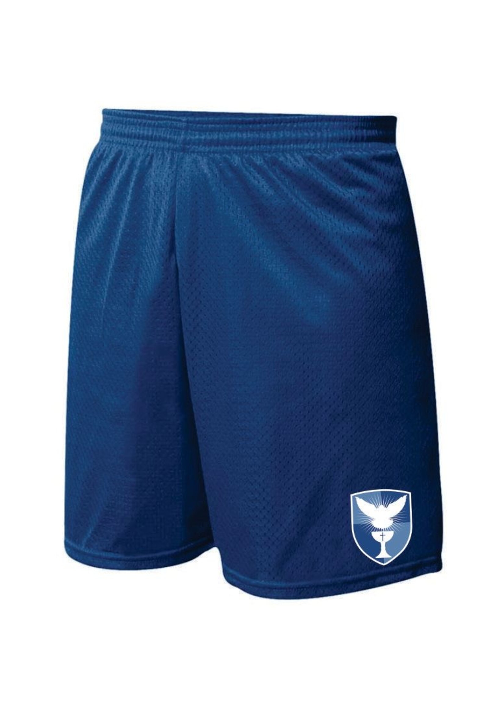 SKDA Navy Mini Mesh PE Shorts