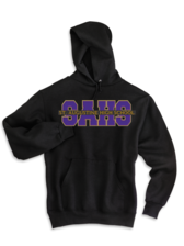 nswchs hoodie
