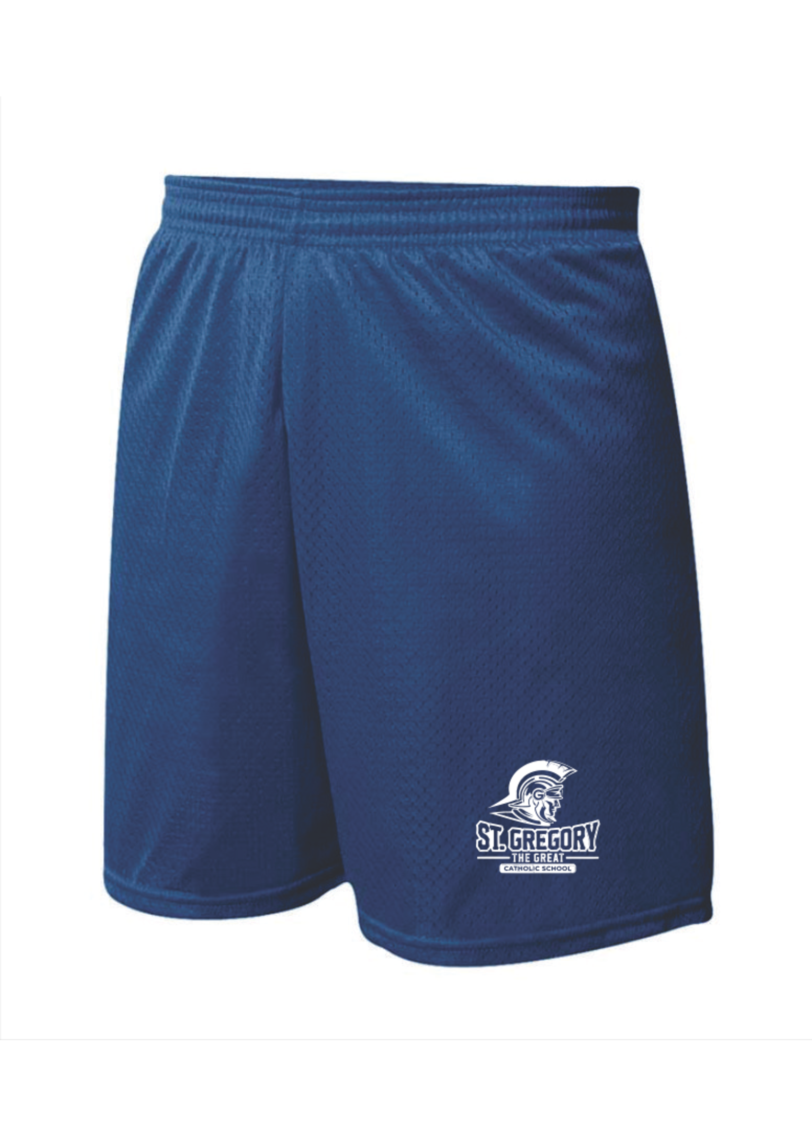 STGGCS Navy Mesh PE Shorts
