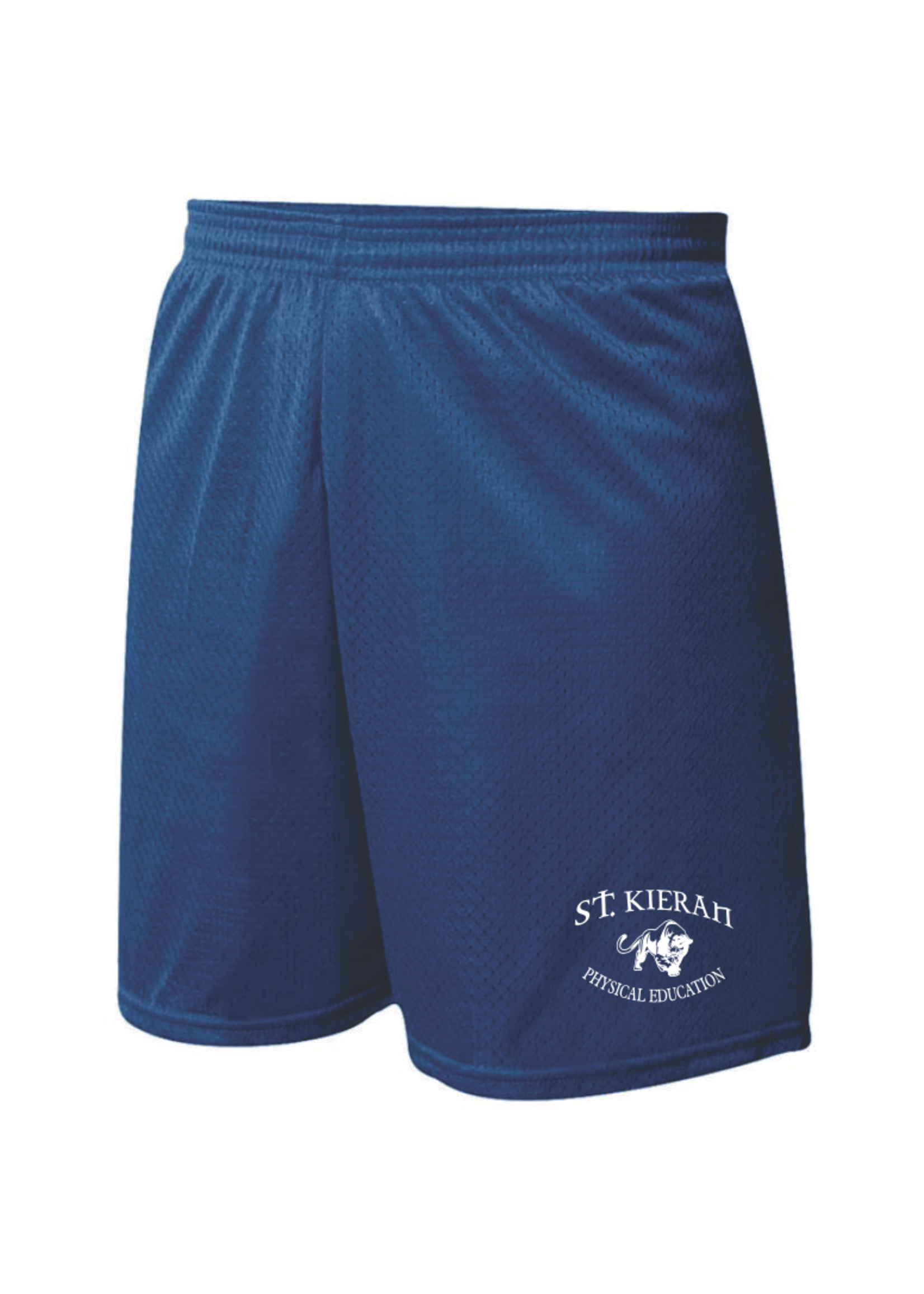 SKCS Navy Mesh PE Shorts