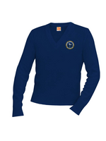 MCS Navy Pullover V-neck Sweater