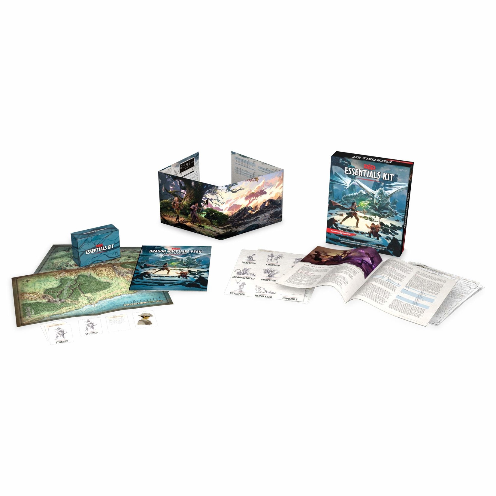 Wizards of the Coast Dungeons and Dragons Essentials Kit