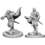 WizKids Dungeons and Dragons Nolzur's Marvelous Minis Vampires