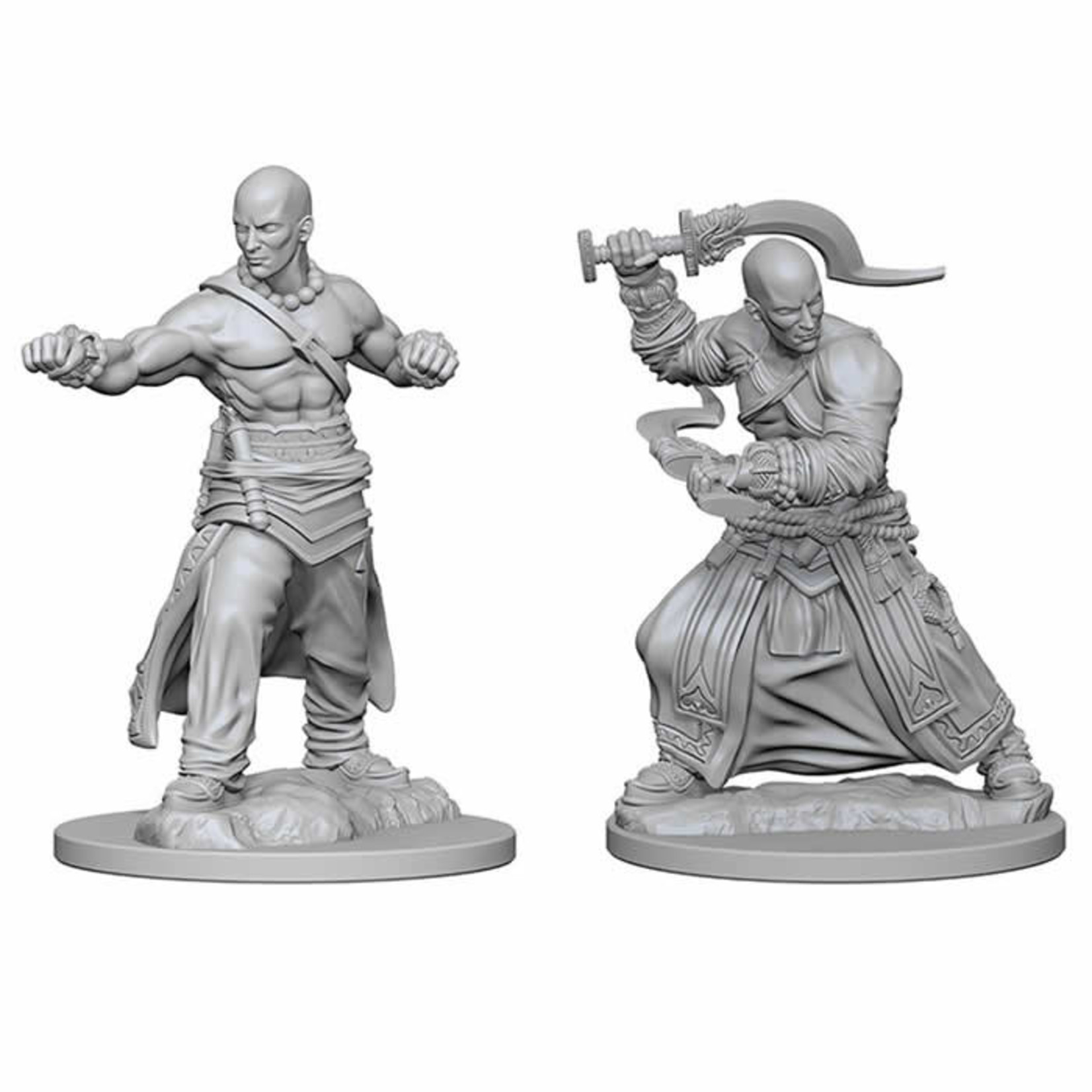 WizKids Pathfinder Deep Cuts Human Male Monk