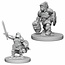 WizKids Dungeons and Dragons Nolzur's Marvelous Minis Dwarf Female Paladin