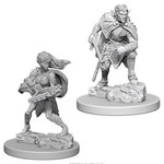 WizKids Dungeons and Dragons Nolzur's Marvelous Minis Drow