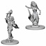 WizKids Dungeons and Dragons Nolzur's Marvelous Minis Medusas