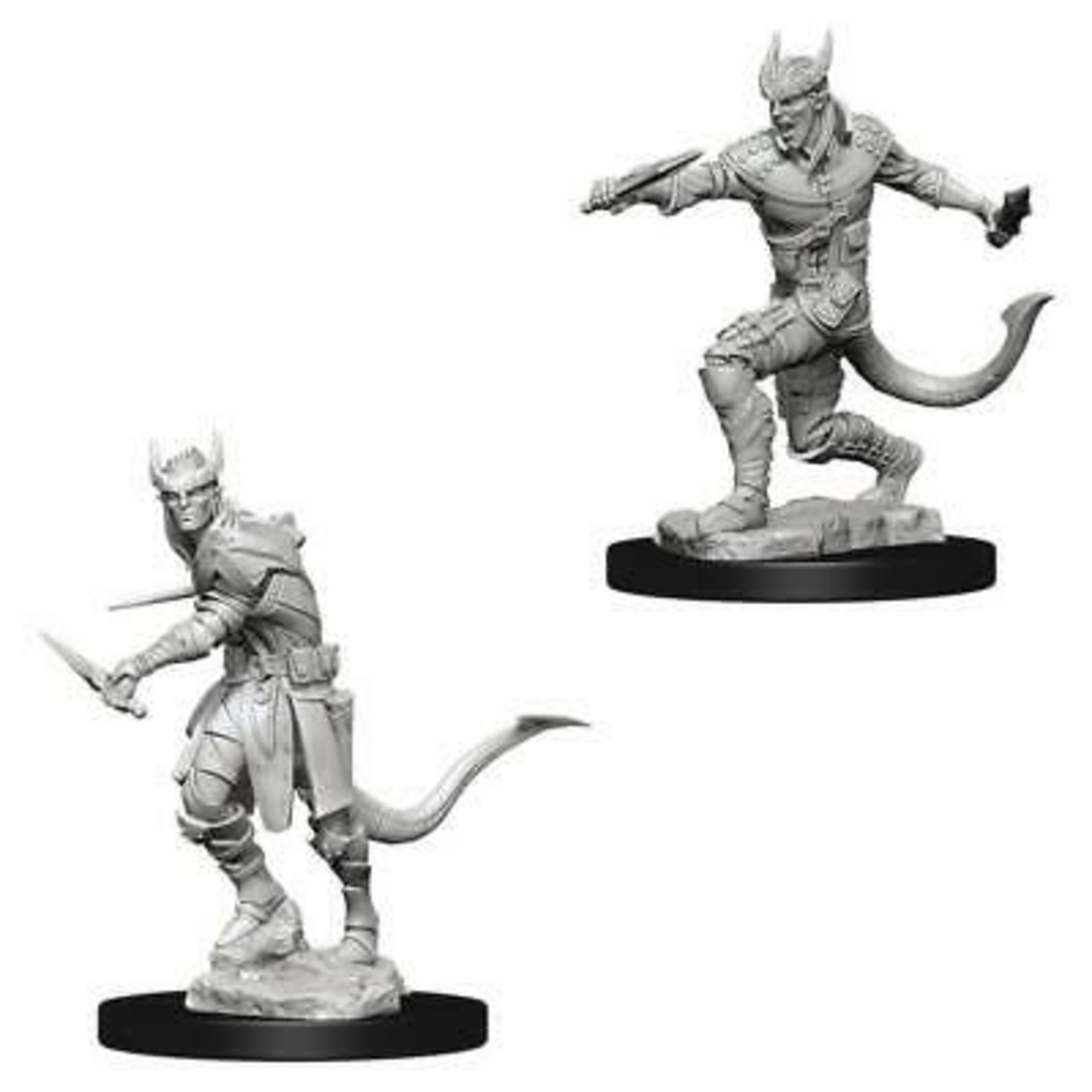 WizKids Dungeons and Dragons Nolzur's Marvelous Minis Tiefling Male Rogue